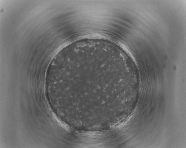 X0000088590845200706221339