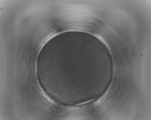 X0000088590846200706221339