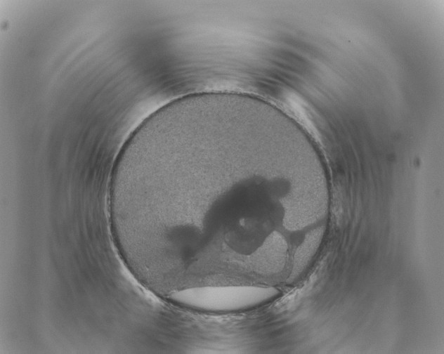 X0000088590847200706221339