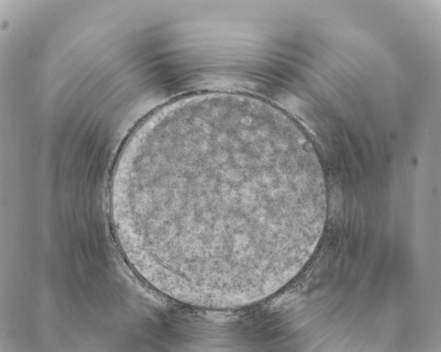 X0000088590848200706221339