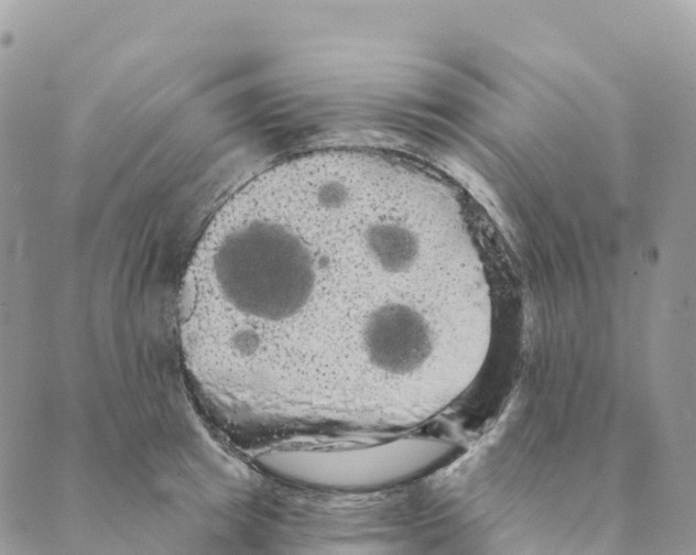 X0000088590849200706221339