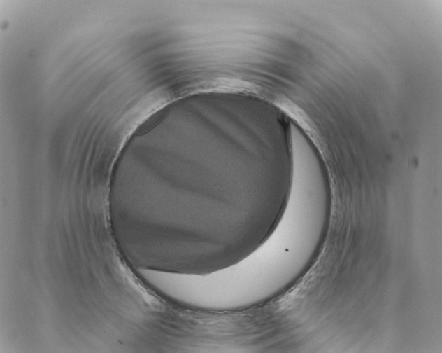 X0000088590850200706221339