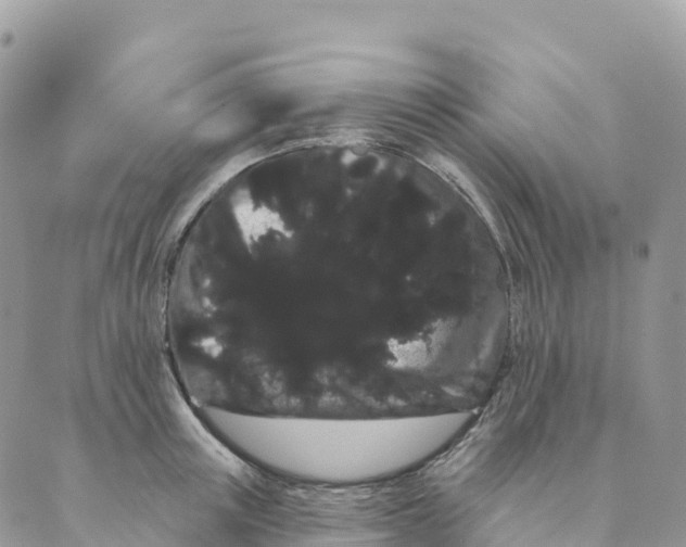 X0000088590851200706221339