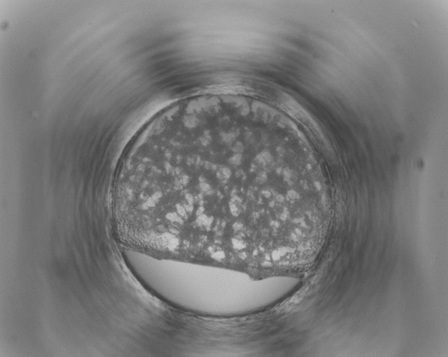 X0000088590852200706221339