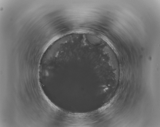 X0000088590853200706221339