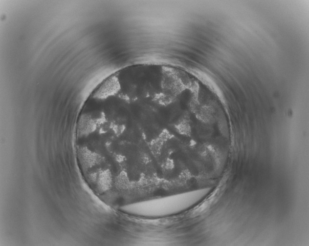 X0000088590855200706221339