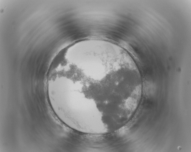 X0000088590856200706221339