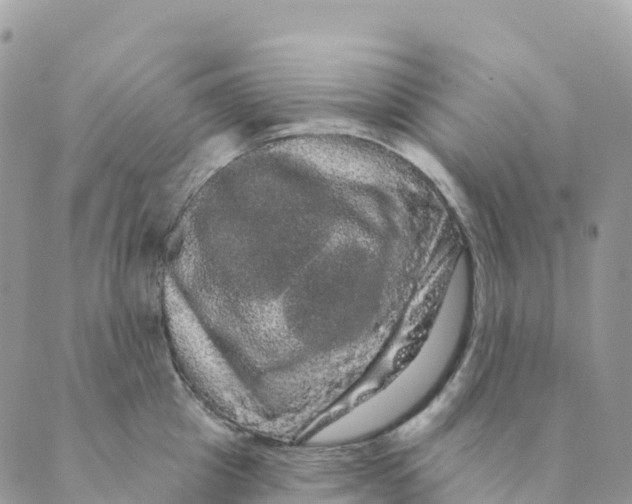 X0000088590857200706221339