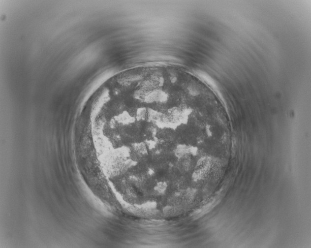 X0000088590859200706221339