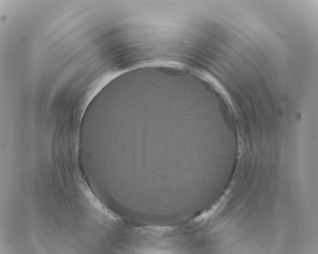 X0000088590860200706221339