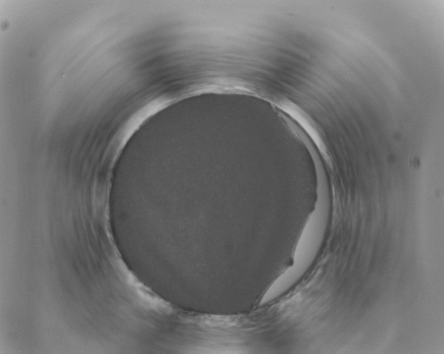 X0000088590861200706221339