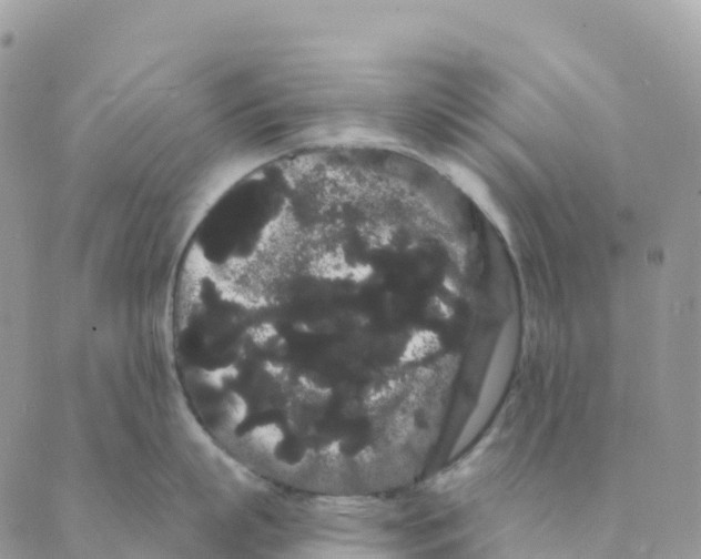 X0000088590863200706221339