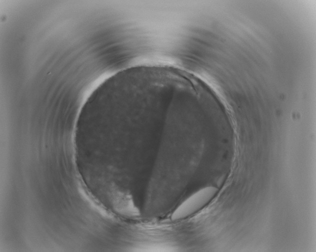 X0000088590864200706221339