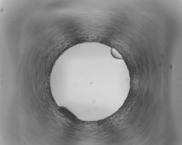 X0000088590865200706221338