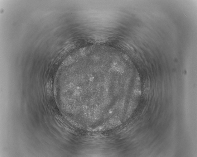 X0000088590866200706221338