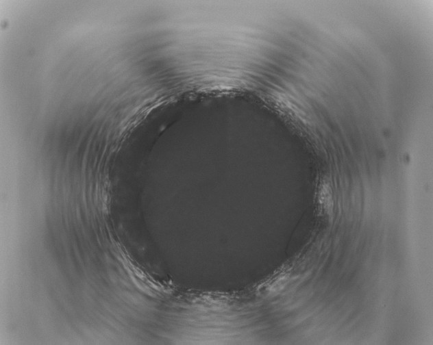 X0000088590868200706221338