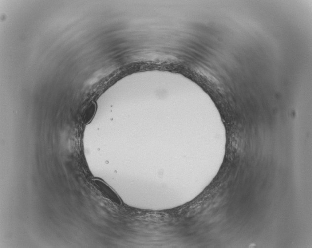 X0000088590869200706221338