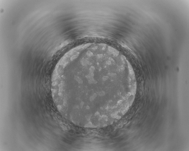 X0000088590870200706221338