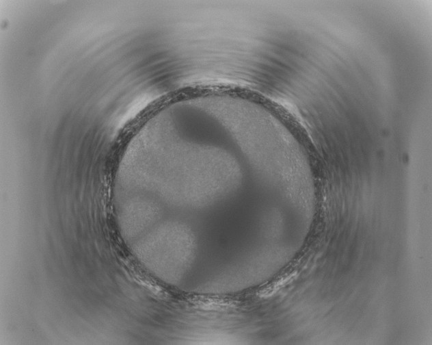 X0000088590871200706221338