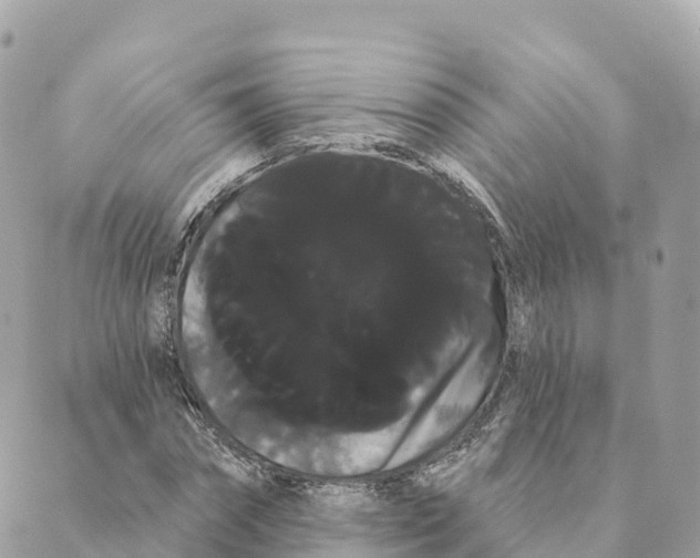 X0000088590874200706221338