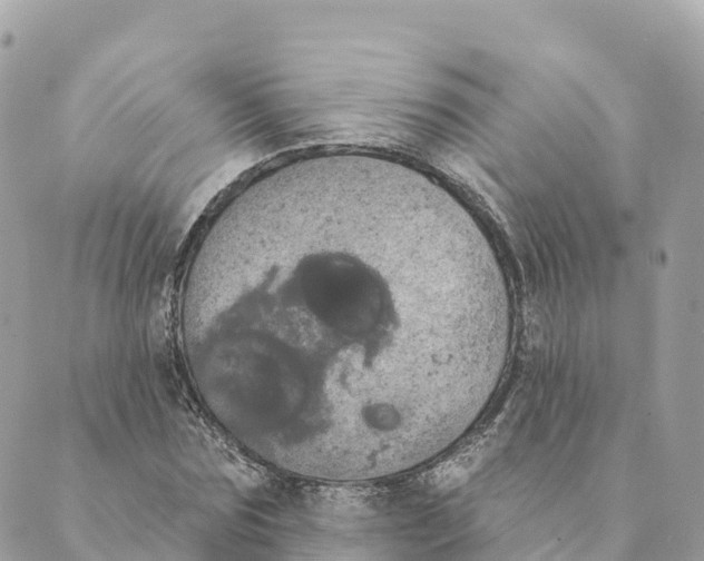 X0000088590875200706221338