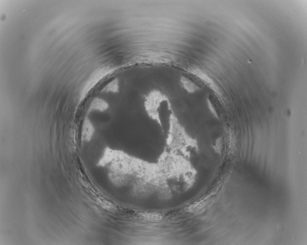 X0000088590878200706221338