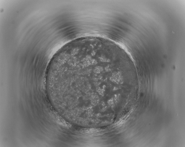 X0000088590879200706221338