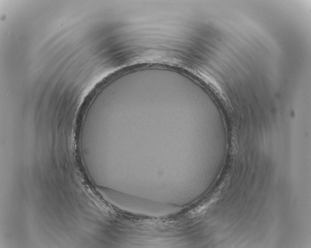 X0000088590880200706221338