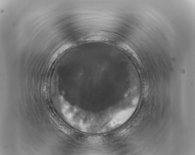 X0000088590882200706221338