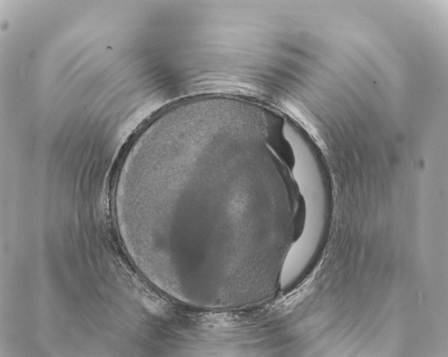 X0000088590883200706221338