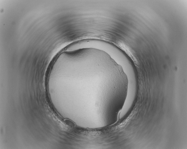 X0000088590884200706221338