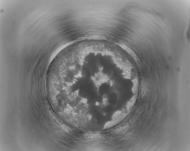 X0000088590886200706221338