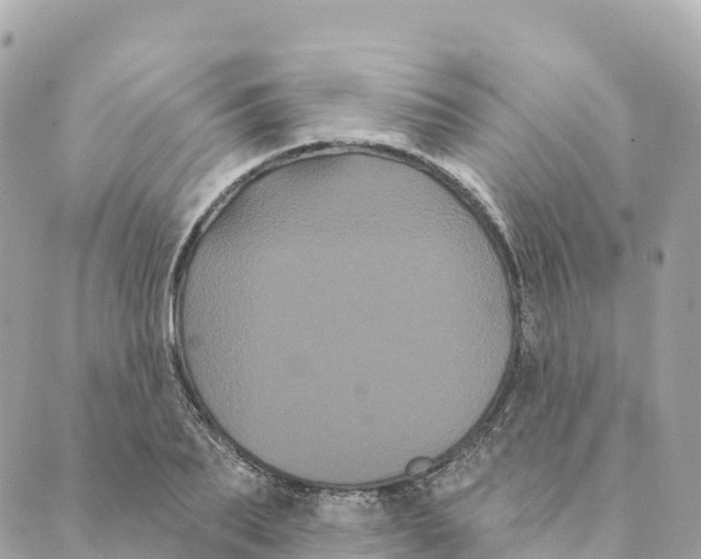 X0000088590887200706221338