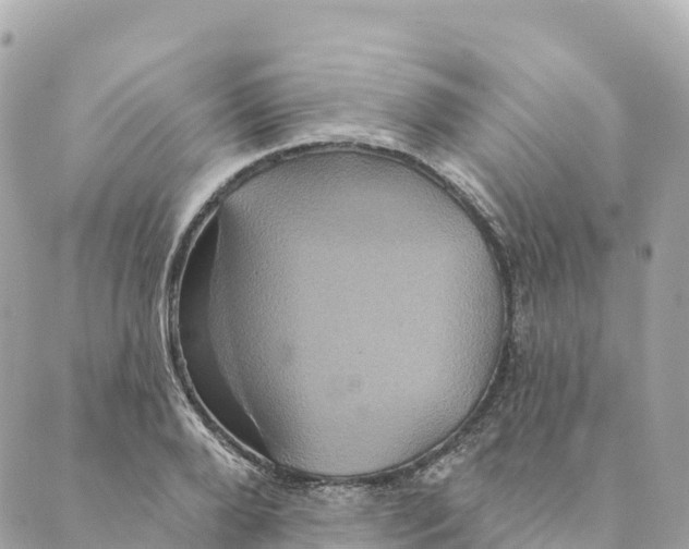 X0000088590888200706221338