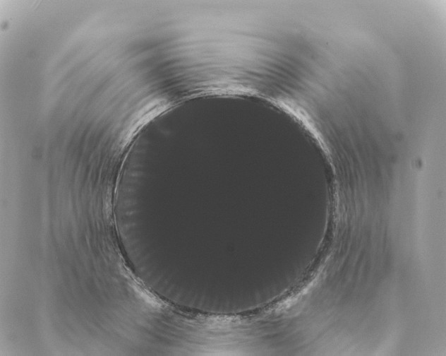 X0000088590889200706221338