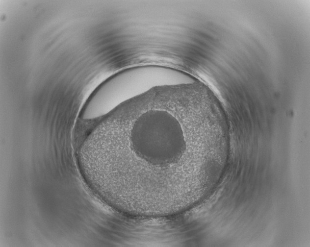 X0000088590891200706221338