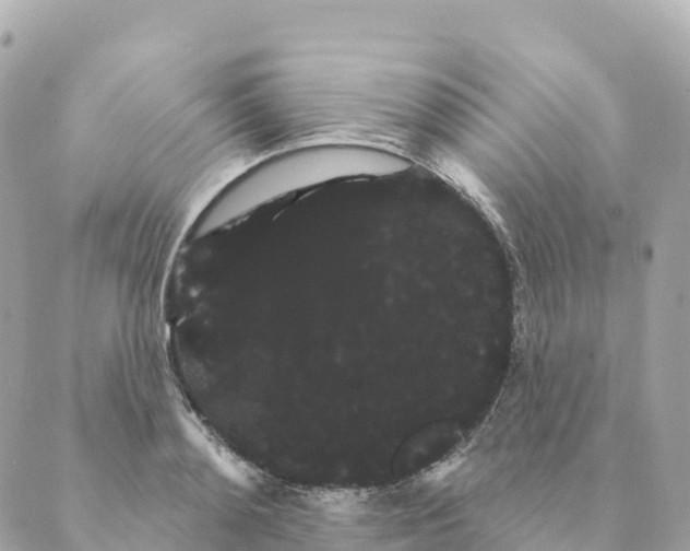 X0000088590892200706221338