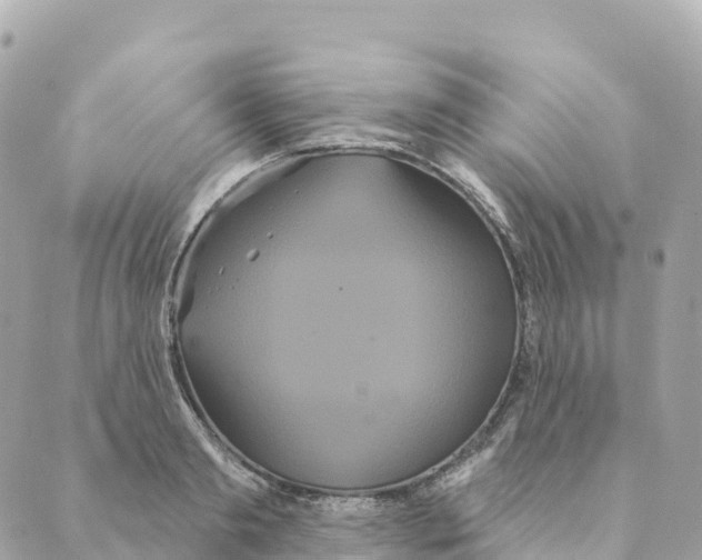 X0000088590893200706221338