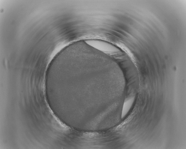 X0000088590894200706221338