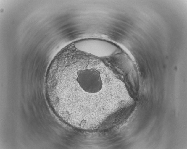 X0000088590895200706221338