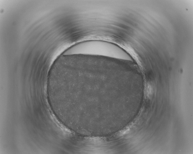 X0000088590896200706221338