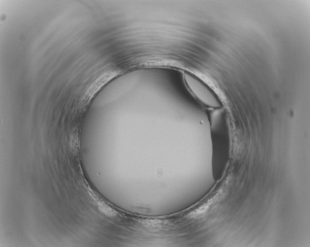 X0000088590897200706221338