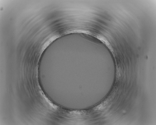 X0000088590898200706221338