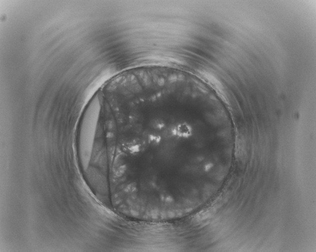 X0000088590899200706221338