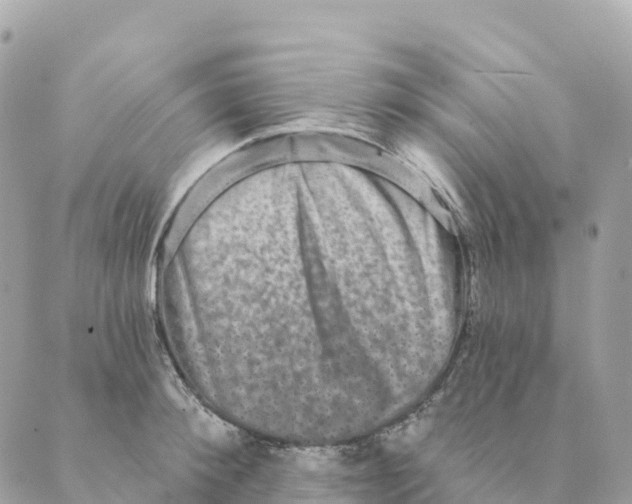 X0000088590900200706221338