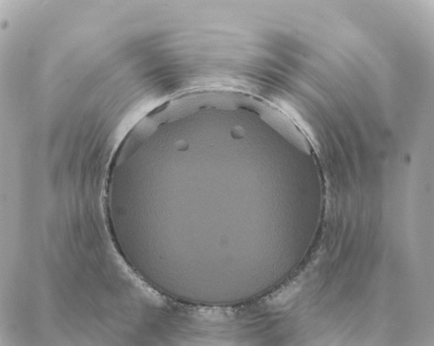 X0000088590901200706221338