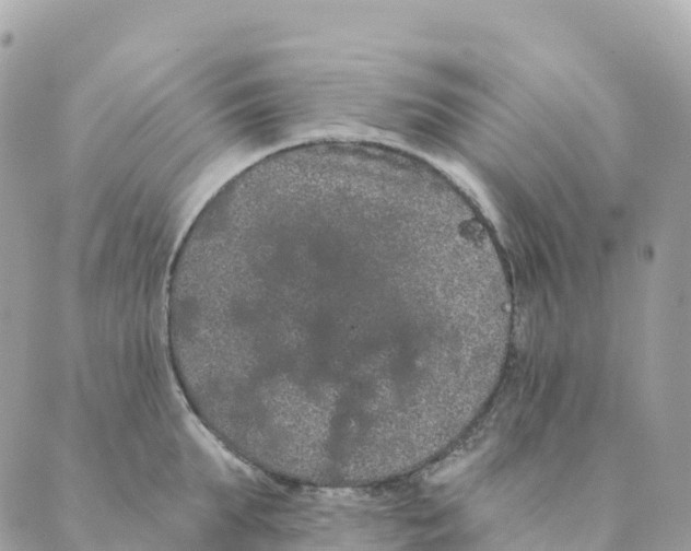 X0000088590903200706221338