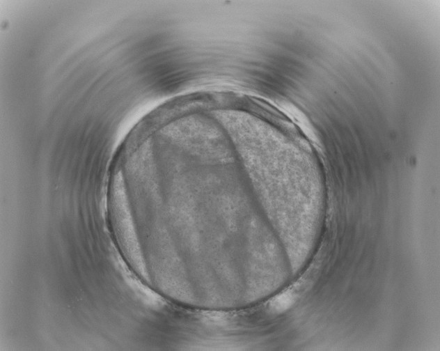 X0000088590904200706221338