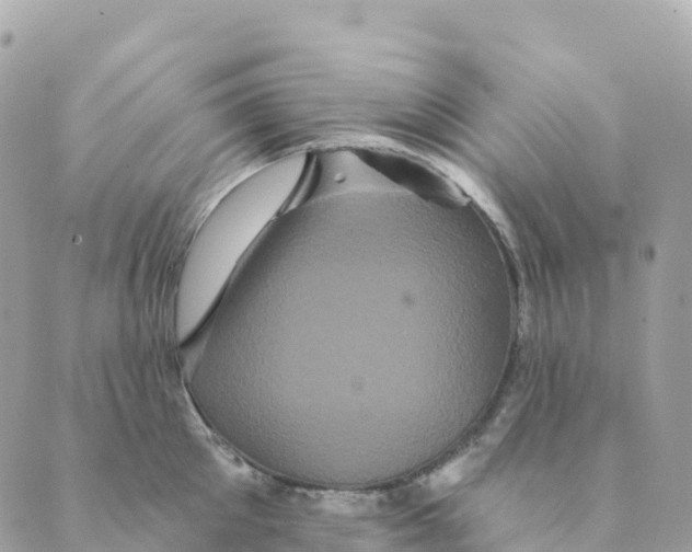 X0000088590905200706221338