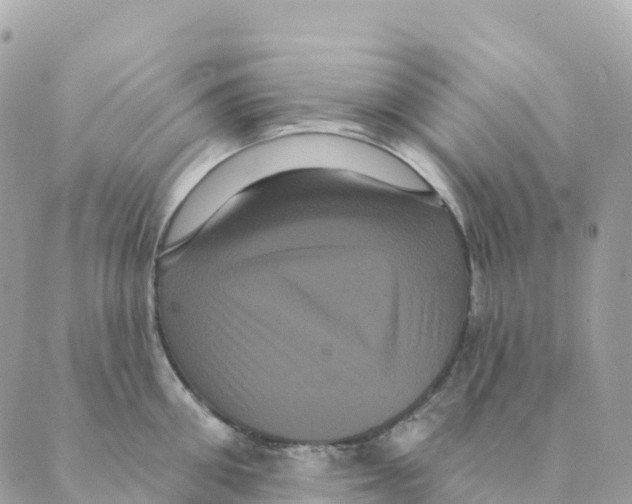 X0000088590906200706221338